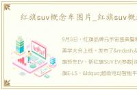 红旗suv概念车图片_红旗suv概念车