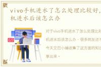 vivo手机进水了怎么处理比较好，vivo手机进水后该怎么办