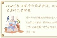 vivo手机强制清除锁屏密码，vivo手机忘记密码怎么解锁