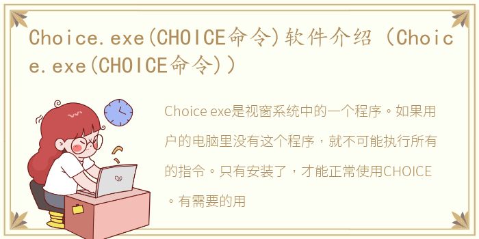 Choice.exe(CHOICE命令)软件介绍（Choice.exe(CHOICE命令)）