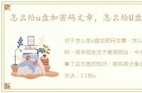 怎么给u盘加密码文章，怎么给U盘加密码