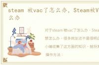 steam 被vac了怎么办，Steam被VAC封禁怎么办