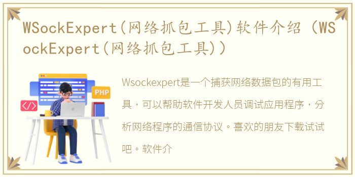 WSockExpert(网络抓包工具)软件介绍（WSockExpert(网络抓包工具)）