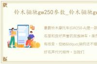 铃木骊驰gw250参数_铃木骊驰gw250