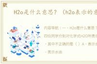 H2o是什么意思？（h2o表示的意义）