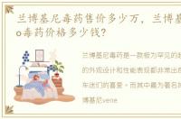 兰博基尼毒药售价多少万，兰博基尼veneno毒药价格多少钱?