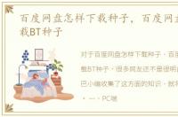 百度网盘怎样下载种子，百度网盘如何下载BT种子