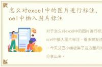 怎么对excel中的图片进行标注，怎样在excel中插入图片标注