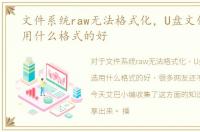 文件系统raw无法格式化，U盘文件系统选用什么格式的好