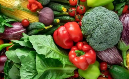 8种可以添加到饮食中的夏季蔬菜