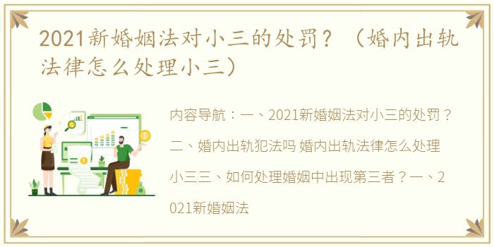 2021新婚姻法对小三的处罚？（婚内出轨法律怎么处理小三）