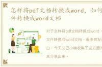 怎样将pdf文档转换成word，如何将pdf文件转换成word文档