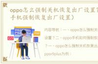 oppo怎么强制关机恢复出厂设置？（oppo手机强制恢复出厂设置）