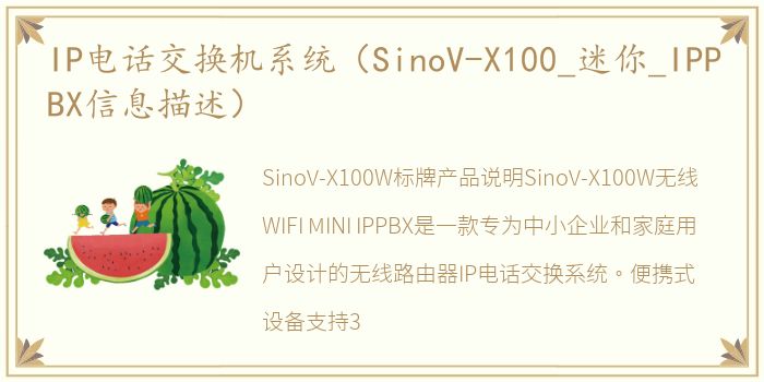 IP电话交换机系统（SinoV-X100_迷你_IPPBX信息描述）