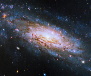 哈勃太空望远镜捕捉到活跃的塞弗特星系