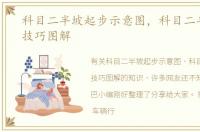 科目二半坡起步示意图，科目二半坡起步技巧图解