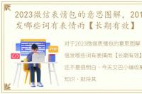 2023微信表情包的意思图解，2017年微信发哪些词有表情雨【长期有效】