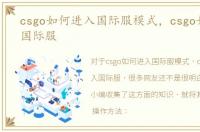 csgo如何进入国际服模式，csgo如何进入国际服