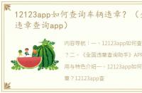 12123app如何查询车辆违章？（全国交通违章查询app）