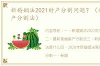 新婚姻法2021财产分割问题？（新离婚财产分割法）