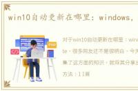 win10自动更新在哪里：windows，update