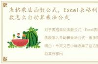 表格乘法函数公式，Excel表格利用乘法函数怎么自动算乘法公式