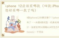 iphone 12应该买哪款（四款iPhone 12,你想好买哪一款了吗）