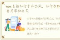 wps表格如何求和公式，如何在WPS表格里套用求和公式