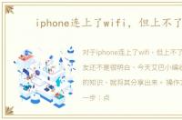 iphone连上了wifi，但上不了网