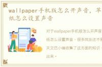 wallpaper手机版怎么开声音，苹果live壁纸怎么设置声音