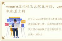 vmware虚拟机怎么配置网络，vmware虚拟机配置上网