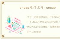 cncap是什么车_cncap