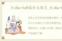 红旗e-hs9报价及图片_红旗e-hs9