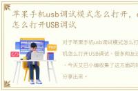 苹果手机usb调试模式怎么打开，oppo手机怎么打开USB调试