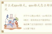 什么是qsv格式，qsv格式怎么转换成MP4格式