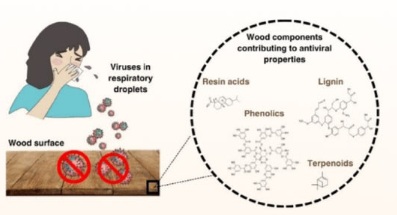 研究表明实木表面具有天然抗病毒特性