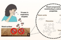 研究表明实木表面具有天然抗病毒特性