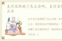 支付宝限额了怎么办啊，支付宝限额了怎么办