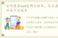 如何查看cad是哪个版本，怎么查看CAD文件是什么版本