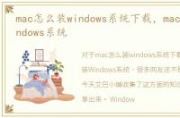 mac怎么装windows系统下载，mac怎么装Windows系统