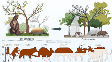新研究证实人类在巨型动物灭绝中扮演了关键角色