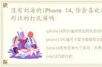 没有刘海的iPhone 14,你会喜欢这种药丸形状的打孔屏吗