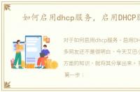 如何启用dhcp服务，启用DHCP服务