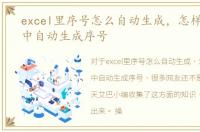 excel里序号怎么自动生成，怎样在excel中自动生成序号