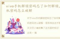 vivo手机解锁密码忘了如何解锁，vivo手机密码怎么破解