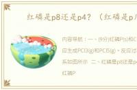 红磷是p8还是p4？（红磷是p几）