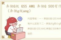 奔驰G级 G55 AMG 奔驰G 500有什么区别？（奔驰g级amg）