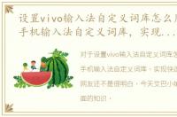 设置vivo输入法自定义词库怎么用，VIVO手机输入法自定义词库，实现快速输入