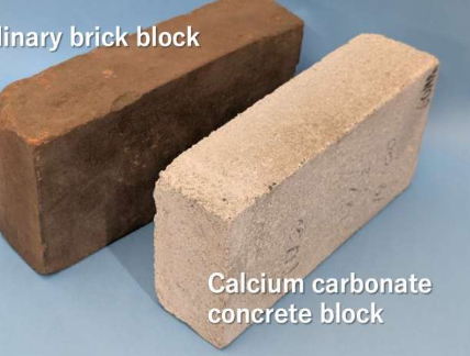 研究人员制造出强度足以用于建筑的碳酸钙混凝土块