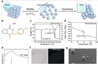 研究人员开发出高熵非共价环肽玻璃用于智能功能材料